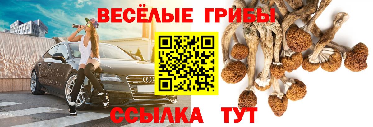 Галлюциногенные грибы MAGIC MUSHROOMS Нижнекамск